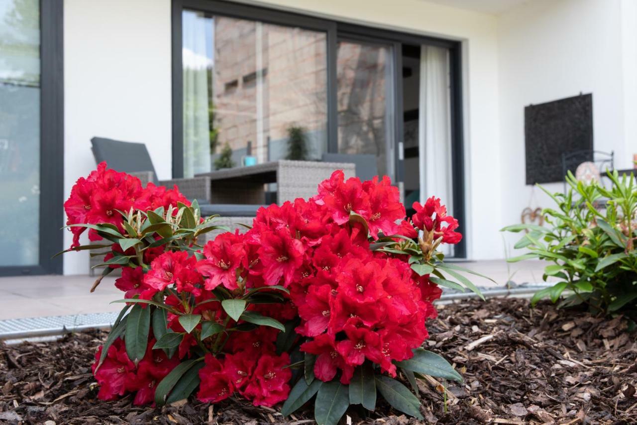 Ferienappartement Hennen Konz Εξωτερικό φωτογραφία
